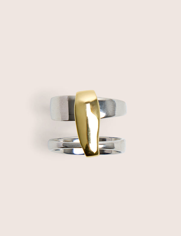 Silver and Gold Abstract Ring