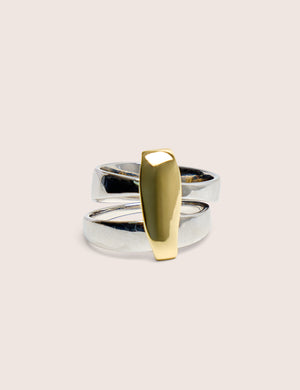 Silver and Gold Abstract Ring