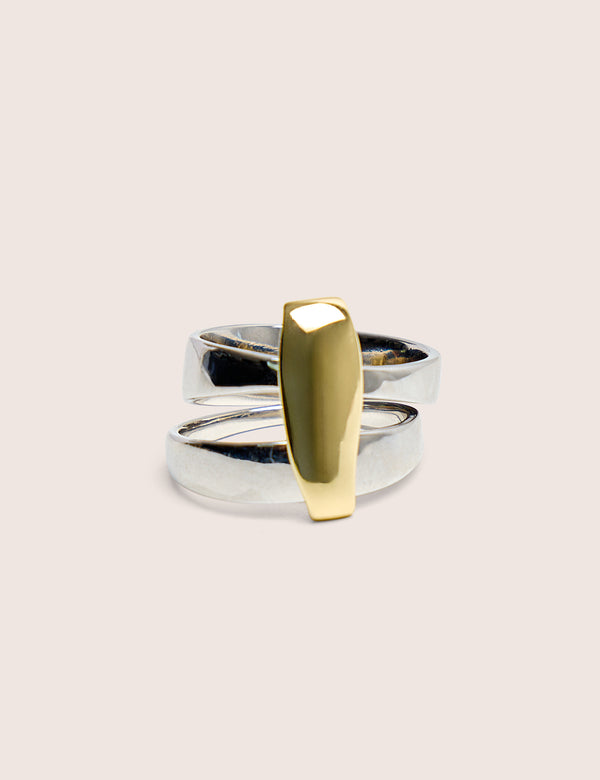 Silver and Gold Abstract Ring